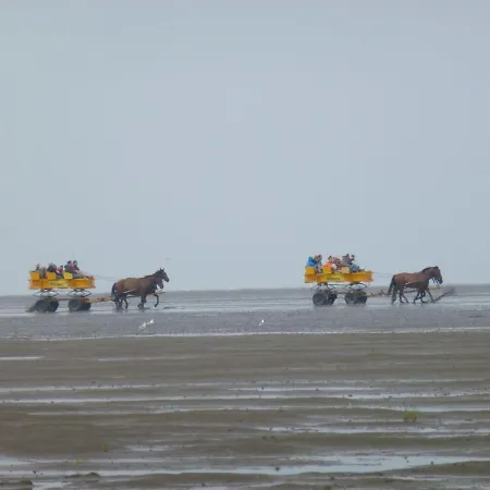 Haus Robbenplatte, Whg. 4 Apartment Cuxhaven