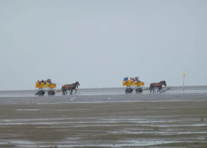 Haus Robbenplatte Whg 4 Seesicht Lejlighed Cuxhaven